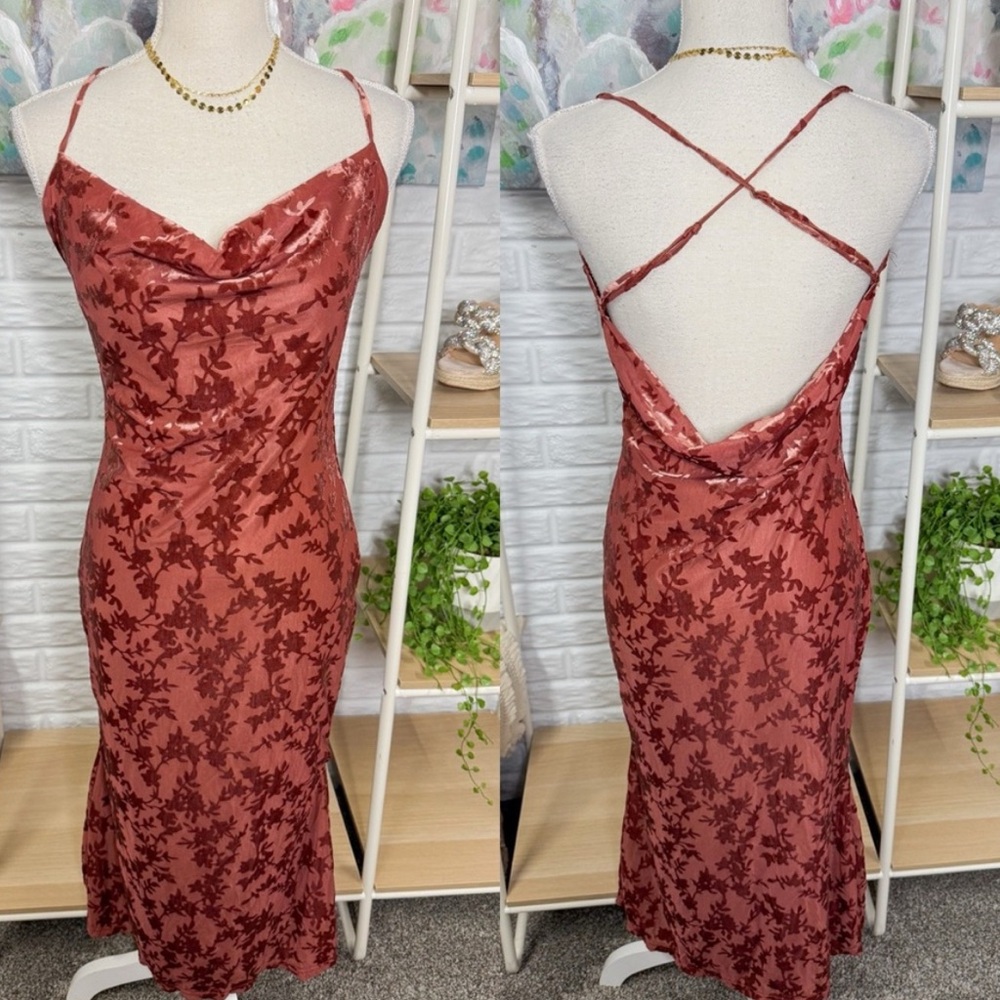 Charming Muse Devore Dress